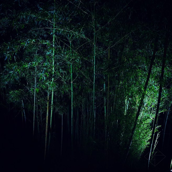 IMG_20190805_200401_528