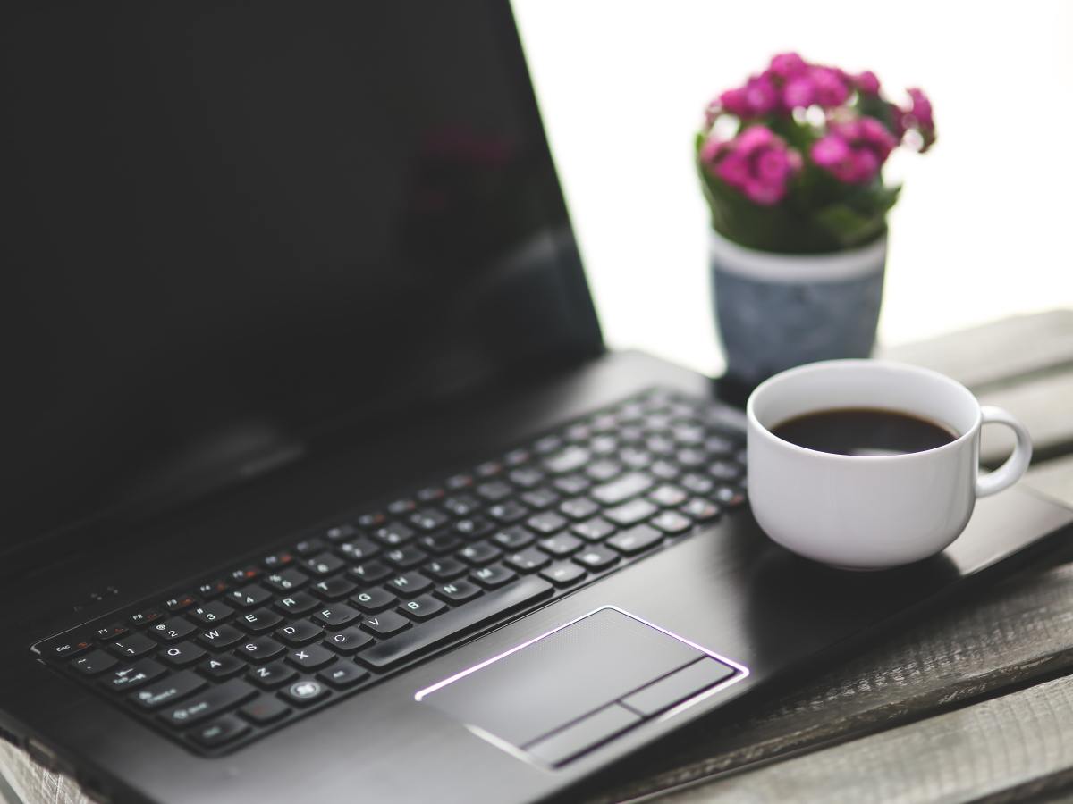 Das neue Jahr&nbsp;beginnt